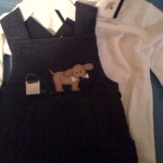 dog outfit We have lots like this with the matching design on the shirt collar