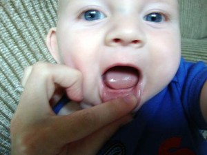 teef3
