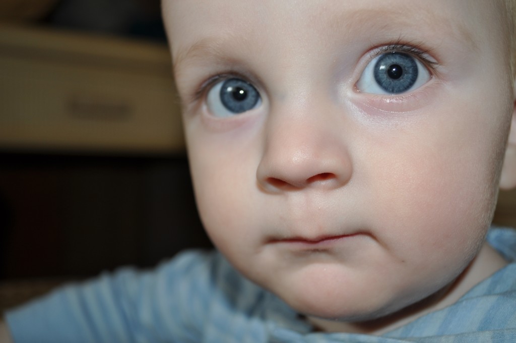 Wordless Wednesday: cuteness close ups