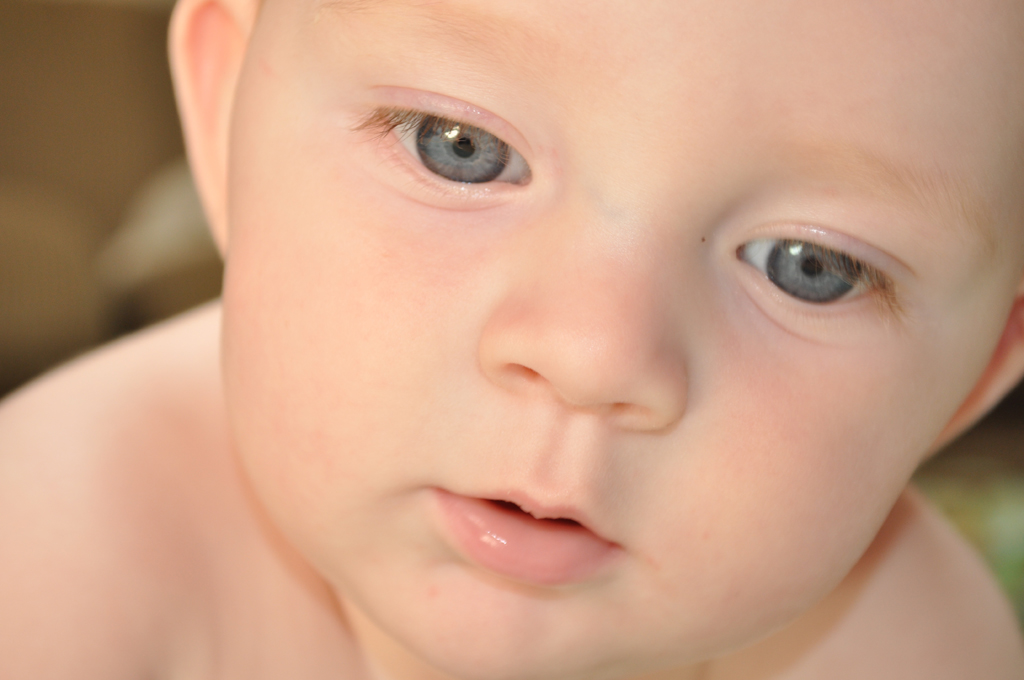 Editing and creating digital photos: my love for photoshop