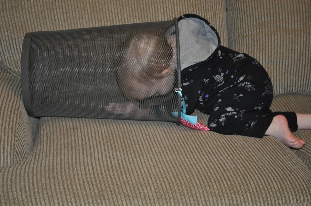 Wordless Wednesday: my little stinker {literally} Wordless Wednesday: my little stinker {literally}