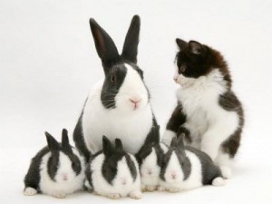 easter1