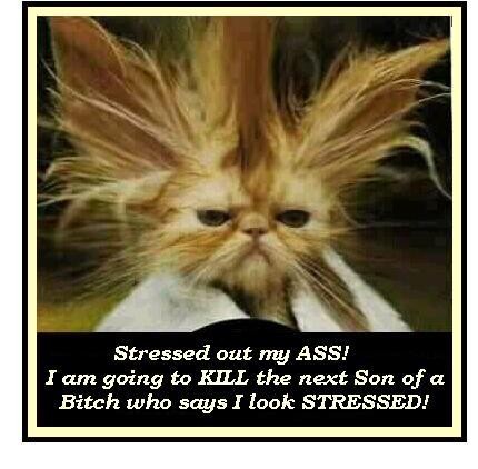 stress