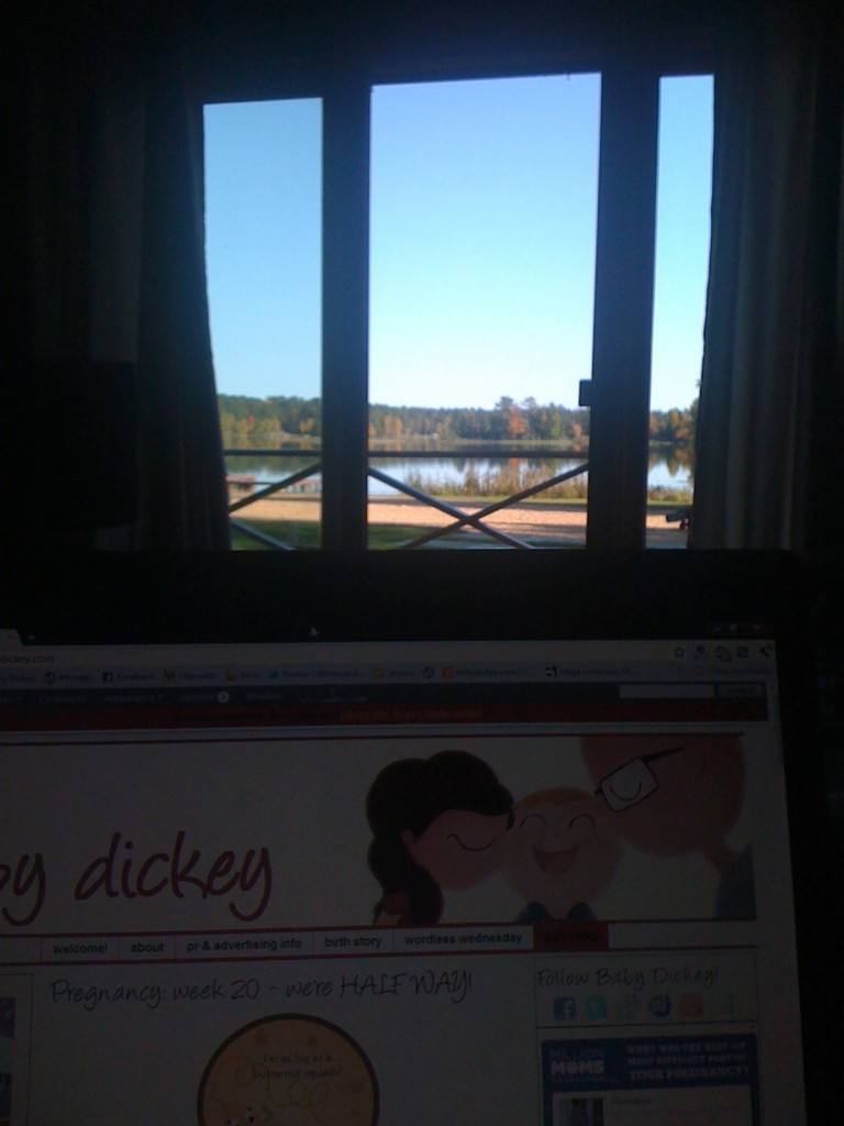 blogging with a view