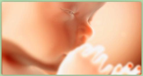 Pregnancy: week 26 Pregnancy: week 26