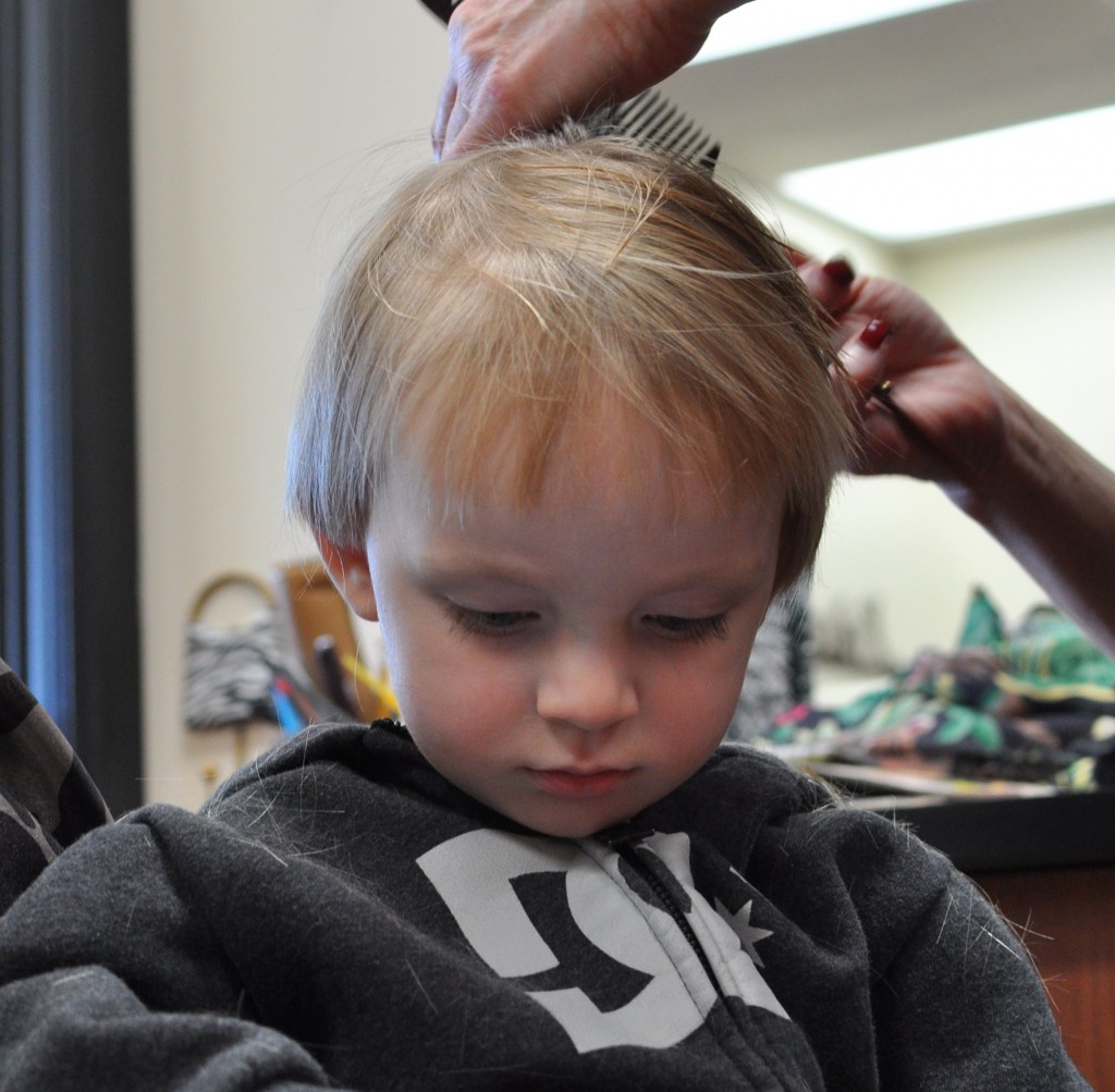 toddler getting a haircut