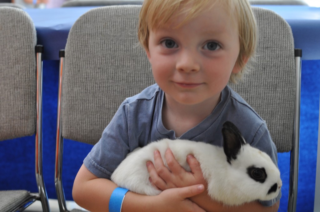 bunny