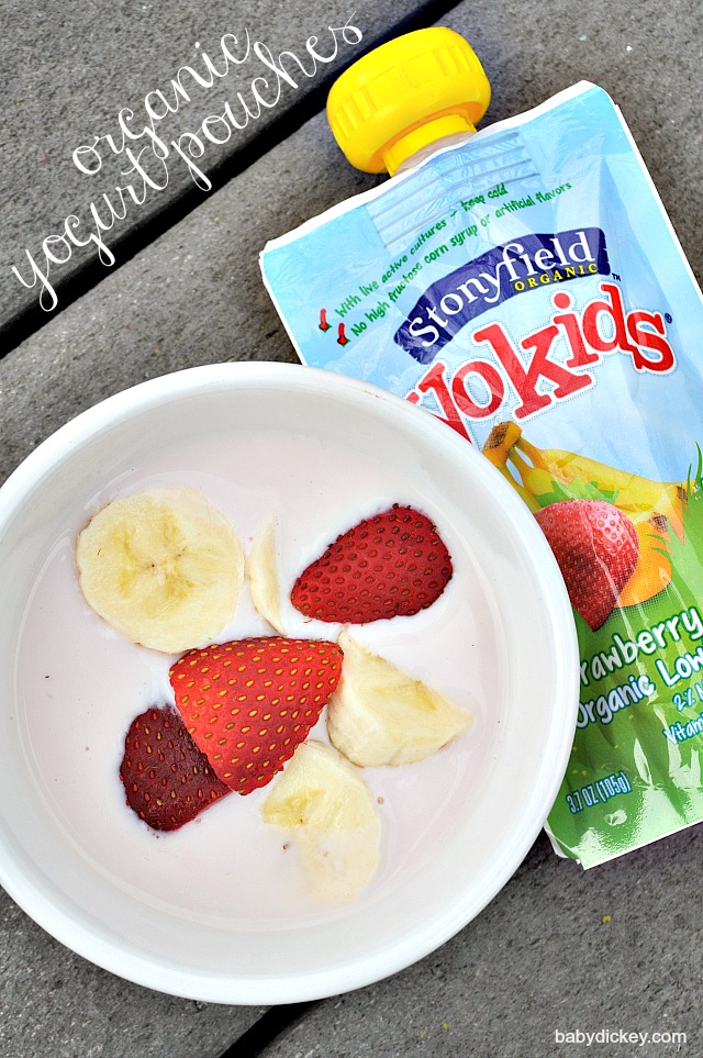 the first refrigerated organic yogurt pouches Baby Dickey